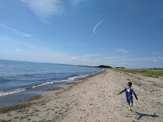 Bredfjed Beach