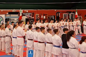 Palestra Team Capasso Karate image