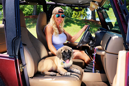 Pawn Shop «Chesapeake Pawn and Gun», reviews and photos, 3330 S Military Hwy, Chesapeake, VA 23323, USA