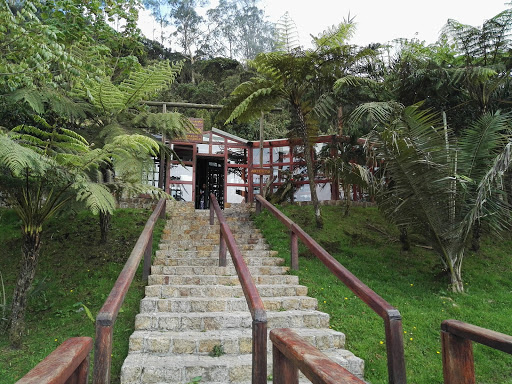 Parque Natural Chicaque