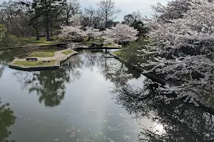 Japanese Garden at Roger Williams Park image