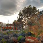 Photo n°2 de l'avis de Irene.o fait le 12/05/2023 à 12:24 sur le  Hotel Kalos à Naxos