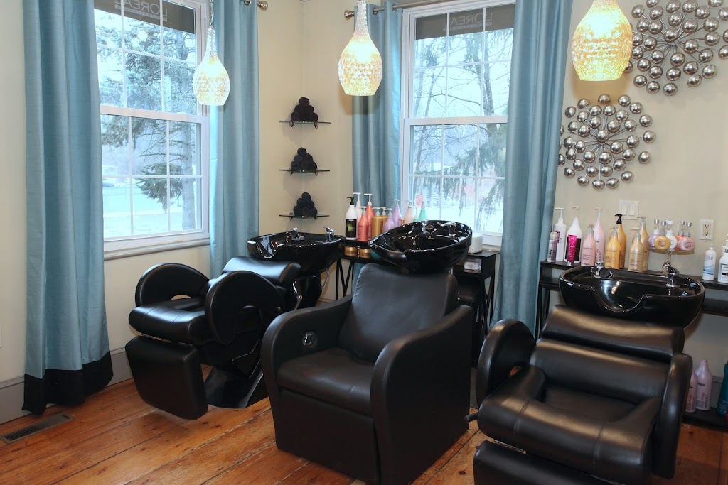 Shear Love Salon 12590