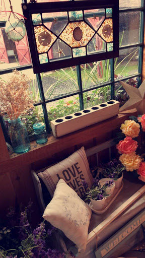 Farm «B & B Flower Farm», reviews and photos, 668 Jones Hill Rd, West Haven, CT 06516, USA