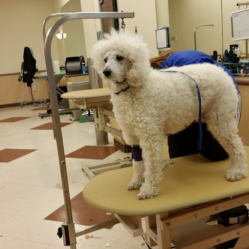 Pet Supply Store «PetSmart», reviews and photos, 5241 Frederica St, Owensboro, KY 42301, USA