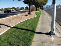Center Cut Landscaping LLC - Photo 4 - Car repair in Las Vegas, NV, Las Vegas