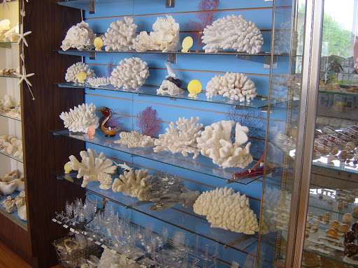 Gift Shop «The Shell Store», reviews and photos, 8211 Ulmerton Rd, Largo, FL 33771, USA