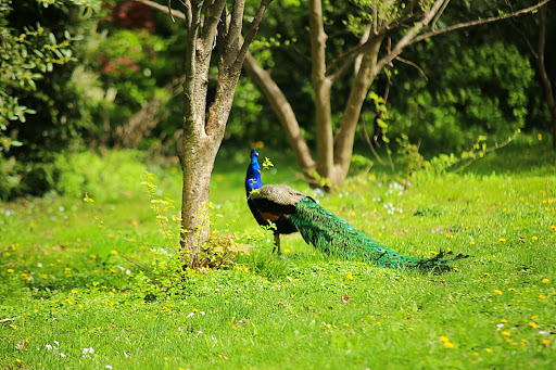 Staten Island Zoo