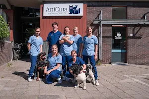 Pet Clinic Delft-Center image