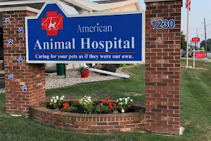 American Animal Hospital image