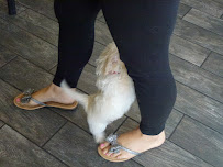 Winnetka Auto Mall - Photo 7 - Car repair in Winnetka, CA, Santa Clarita