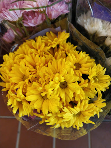 Florist «Thrifty Florist Ann Arbor», reviews and photos, 3021 Carpenter Rd, Ypsilanti, MI 48197, USA