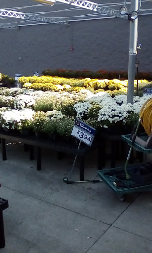 Department Store «Walmart Supercenter», reviews and photos, 3200 John A Williams Blvd, Bedford, IN 47421, USA