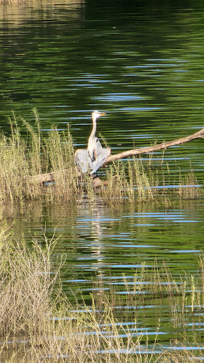 Park «Coon Rapids Dam Regional Park», reviews and photos, 10360 W River Rd, Brooklyn Park, MN 55444, USA