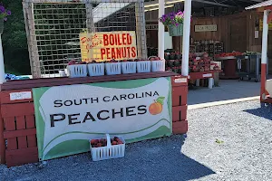 Davis Girls Peach Shed and Market image