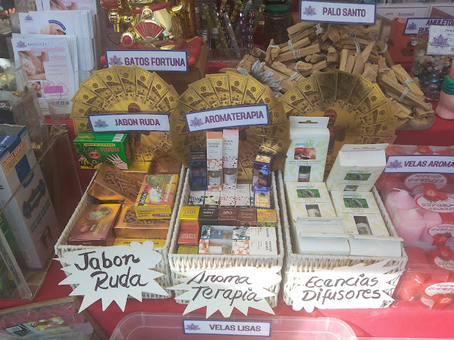 Horarios de Feria Libre Quinchamali