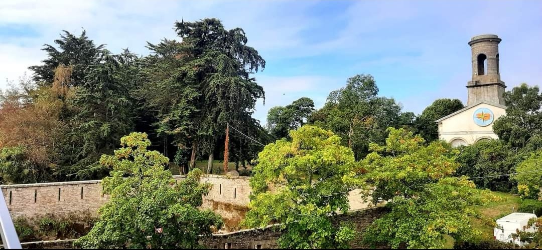 Photo n° 12 de l'avis de Aurore.� fait le 18/09/2022 à 17:38