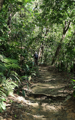 Bukit Kiara Trail