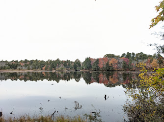 Cranberry Bog