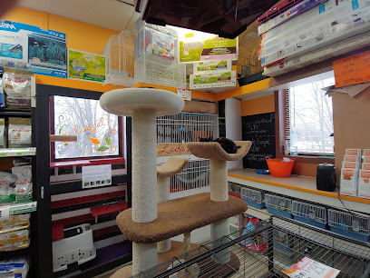 Chico - Boutique d'animaux | Boisbriand