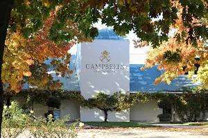 Campbells Wines image