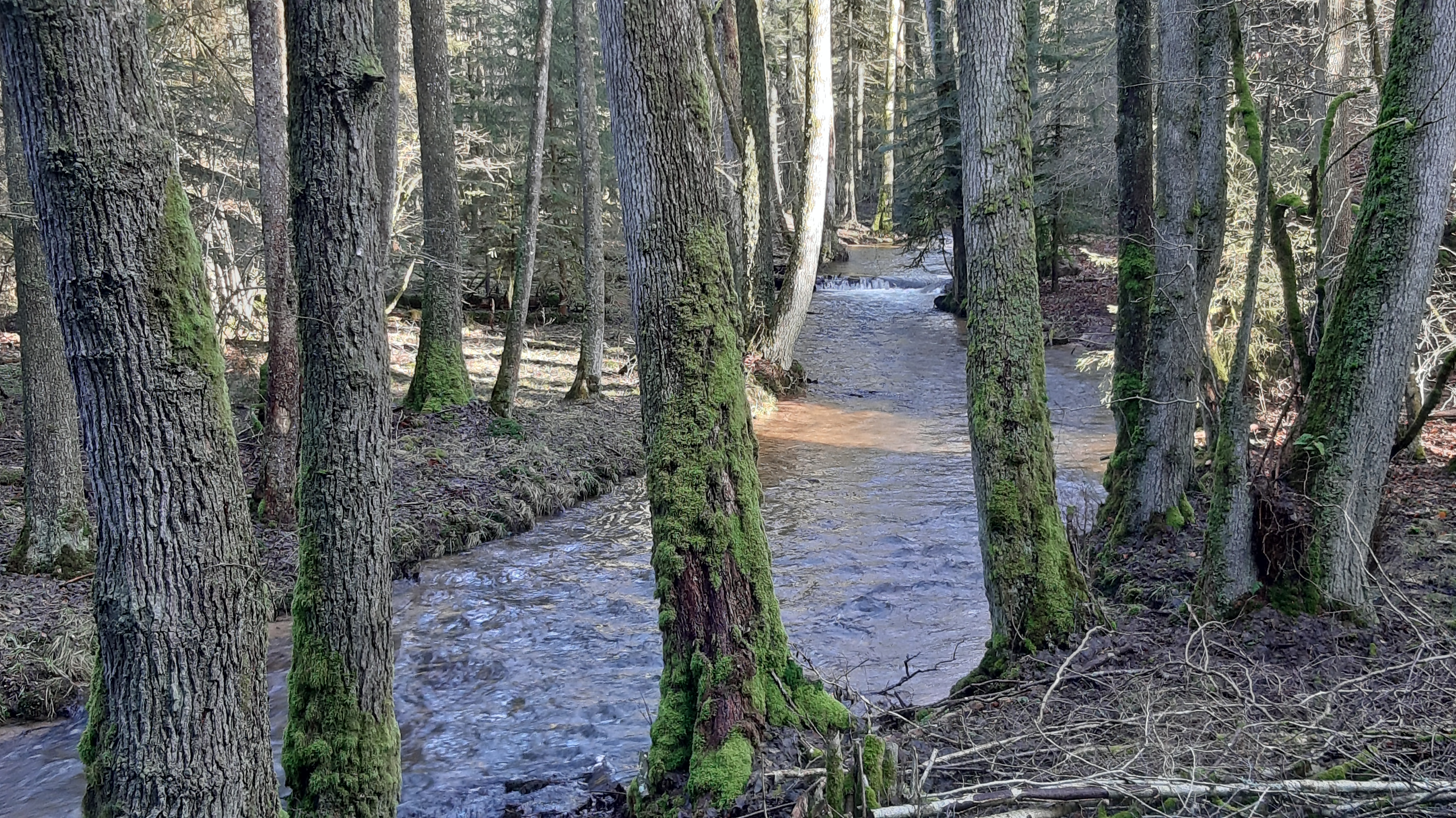 Photo n° 16 de l'avis de Magalie.a fait le 10/02/2020 à 19:38