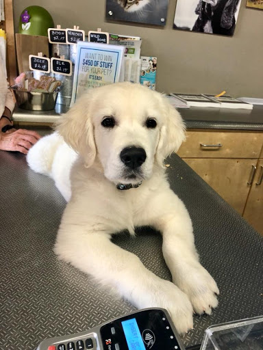 Pet Store «Pet Planet Ridgeview», reviews and photos, 2910 N Power Rd #103, Mesa, AZ 85215, USA