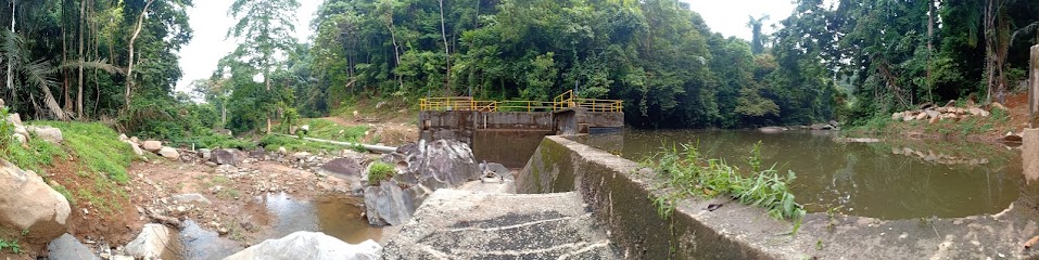 Mentawak Dam (Mini-hydro plant)