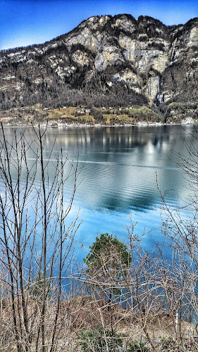 segelschulewalensee.ch