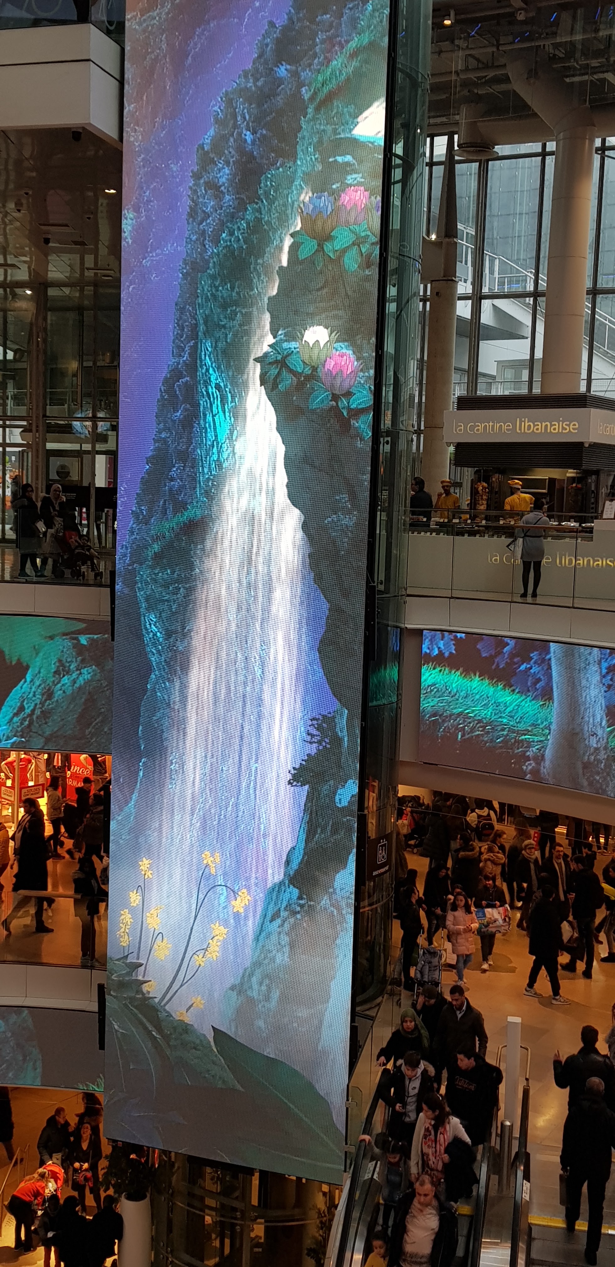 Photo n° 2 de l'avis de Skelly. fait le 09/02/2019 à 22:03