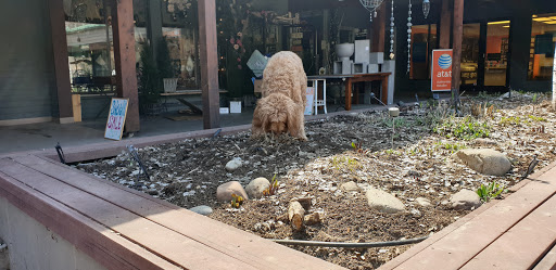 Art Museum «Aspen Art Museum», reviews and photos, 637 E Hyman Ave, Aspen, CO 81611, USA