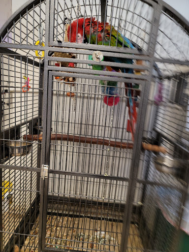 Pet Store «Animart Pets», reviews and photos, 2813 Veterans Memorial Hwy SW, Austell, GA 30168, USA