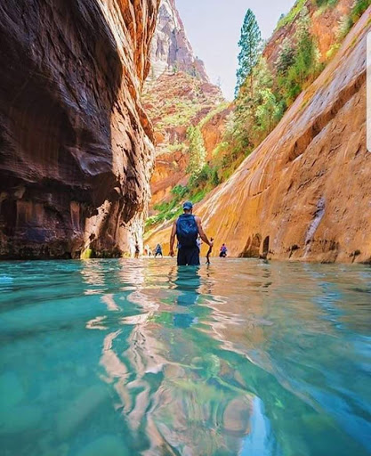 National Park «Zion National Park», reviews and photos