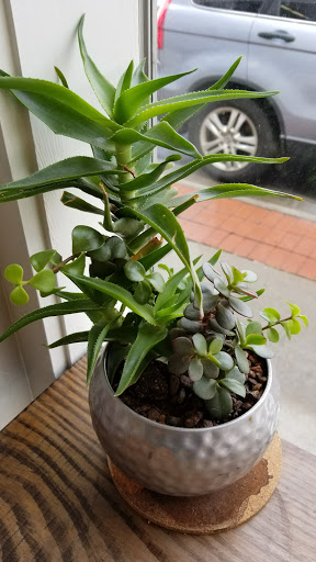 Coffee Shop «Zetêo Coffee», reviews and photos, 911 W Oak St, Conway, AR 72032, USA