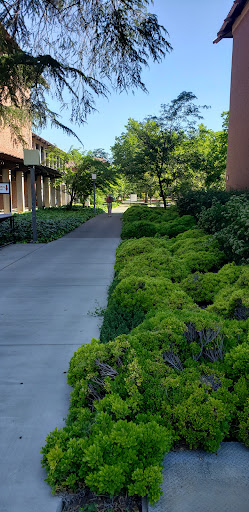 College «Sacramento City College», reviews and photos