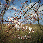 Photo n°3 de l'avis de Mandy.c fait le 19/07/2019 à 15:10 sur le  Kurhotel Sanddorn à Rostock