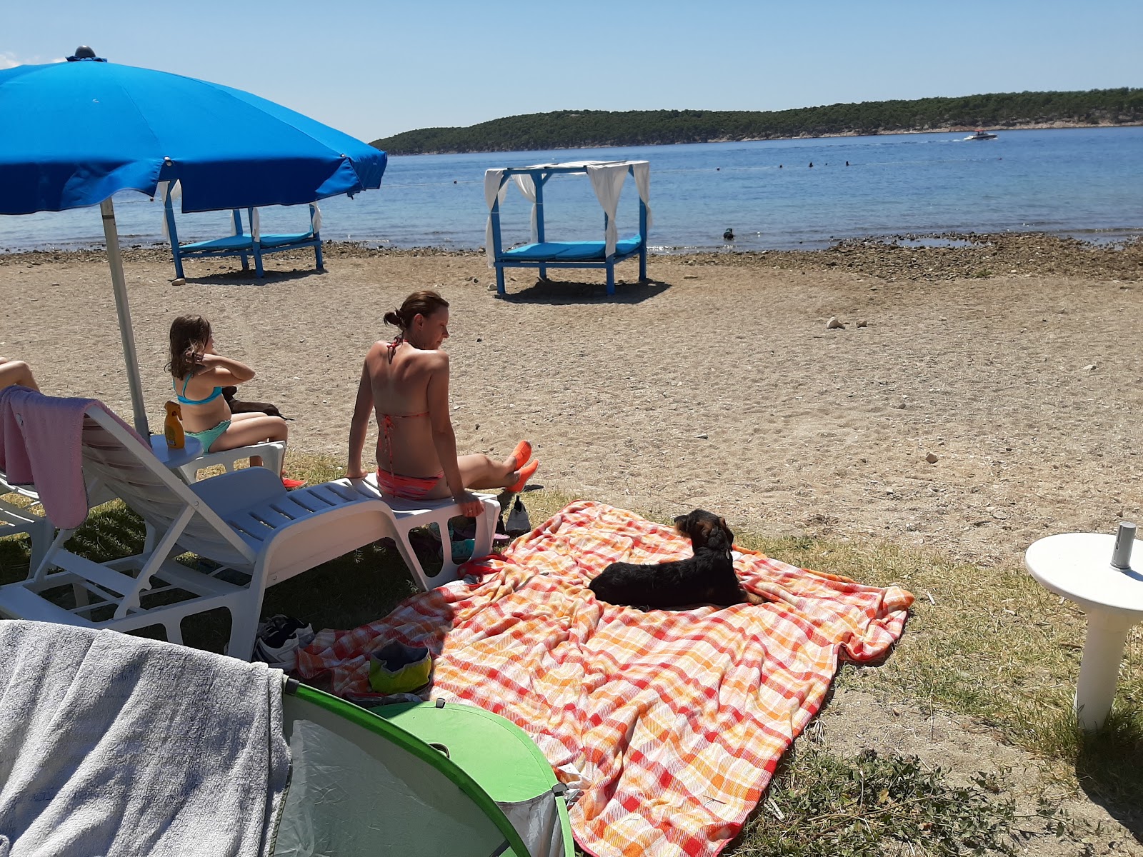 Foto von Monty's Dog Beach und die siedlung