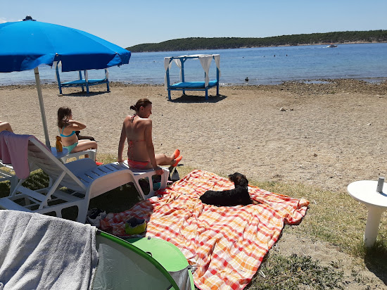 Monty's Dog Beach