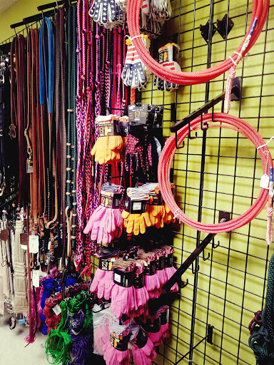 Pet Supply Store «Pet Club Mesa», reviews and photos, 55 S Country Club Dr, Mesa, AZ 85210, USA