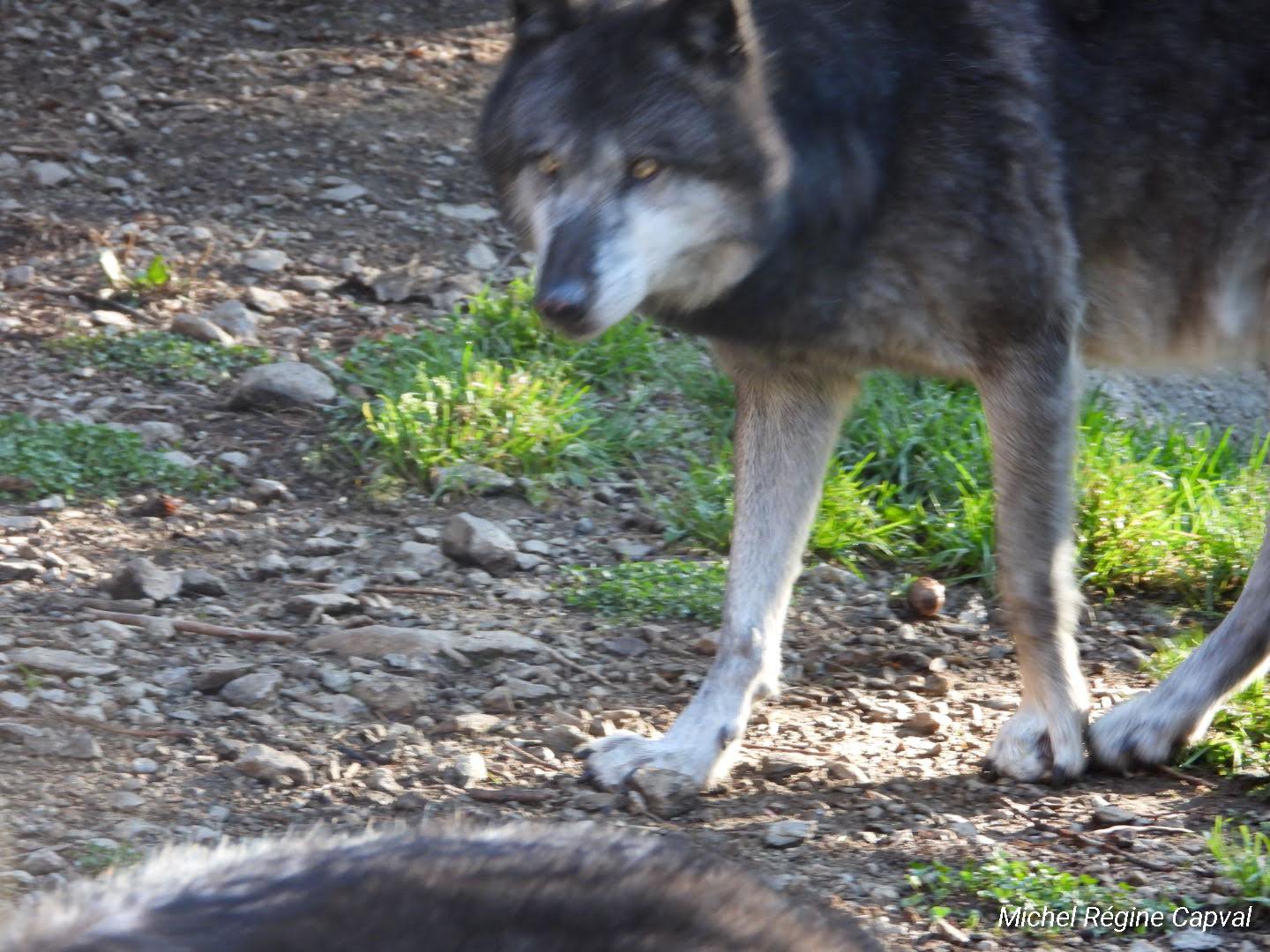 Photo n° 41 de l'avis de michel.a fait le 03/10/2019 à 13:25