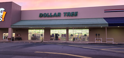 Dollar Store «Dollar Tree», reviews and photos, 8 Newbury St #1b, Danvers, MA 01923, USA