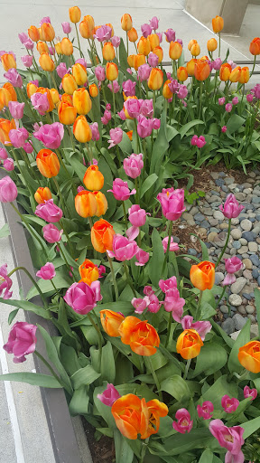 Modern Art Museum «Solomon R. Guggenheim Museum», reviews and photos, 1071 5th Ave, New York, NY 10128, USA