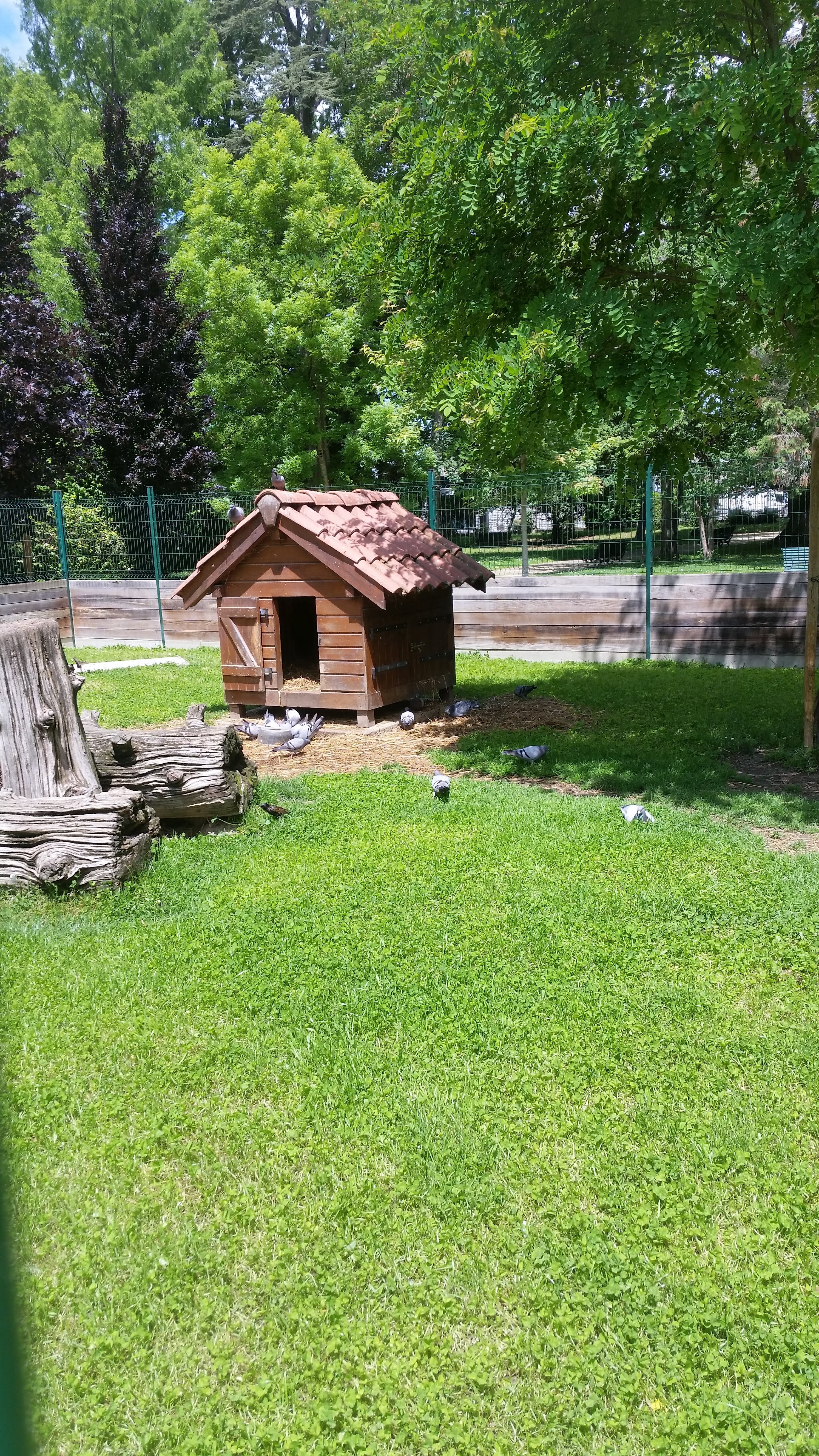 Photo n° 3 de l'avis de didier.r fait le 30/05/2019 à 11:53