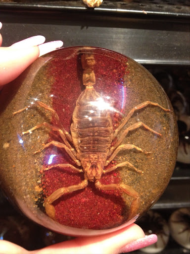 General Store «Five & Dime General Store», reviews and photos, 512 River Walk St, San Antonio, TX 78205, USA