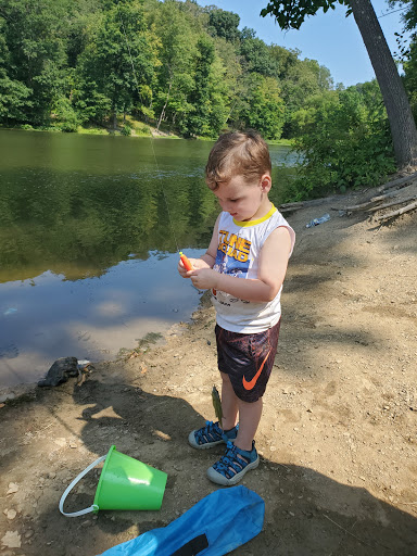 Bait Shop «North Park Sports Shop», reviews and photos, 897 E Ingomar Rd, Allison Park, PA 15101, USA