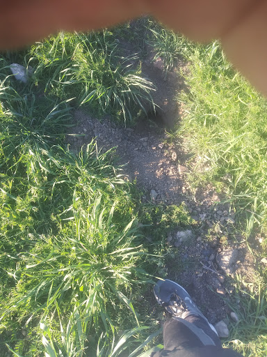 Shopping Mall «Burns Valley Mall», reviews and photos, Olympic Dr, Clearlake, CA 95422, USA