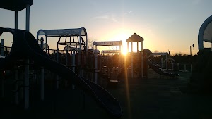 Freedom Field - photo 36