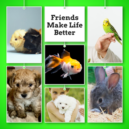 Pet Store «Pets Plus», reviews and photos, 454 TN-46, Dickson, TN 37055, USA