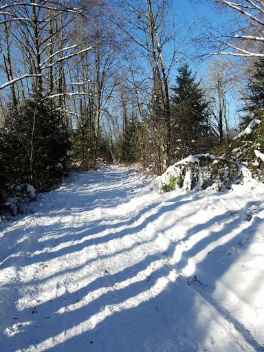 Springwater Corridor Trail