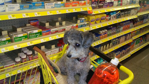 Discount Store «Dollar General», reviews and photos, 3150 Willow Creek Rd, Prescott, AZ 86301, USA